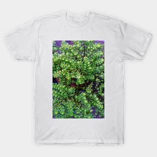 Green Leaf Plant T-Shirt